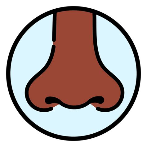 Human Nose Png