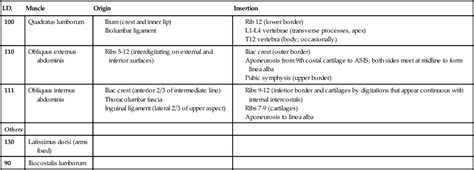 Testing The Muscles Of The Trunk And Pelvic Floor Musculoskeletal Key