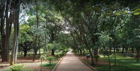 Cubbon Park Bangalore Timings, Entry Fee 2023, Attractions, Parking