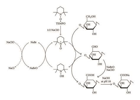 Regioselective Oxidation Of C Primary Hydroxyls Of Cellulose To C