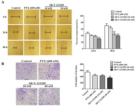 Corrigendum SBT121205 A Nextgeneration Taxane Enhances Apoptosis