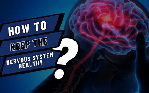 How To Keep The Nervous System Healthy Eat Fit Fuel