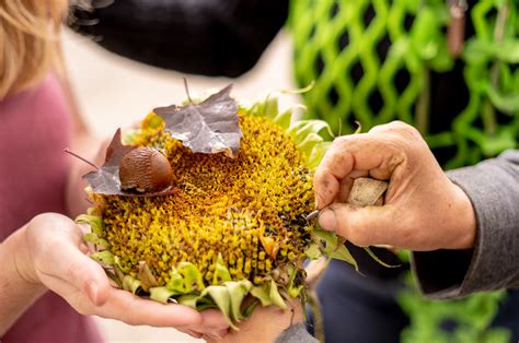 Over Bloei Groei Bloei Groei