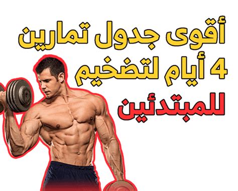 أقوى جدول تمارين كمال أجسام 4 أيام للمبتدئين