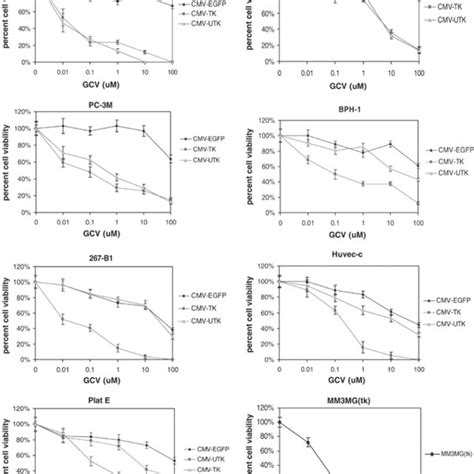 Expression Of Hsv Tk After Infection With Different Lentiviral Vectors