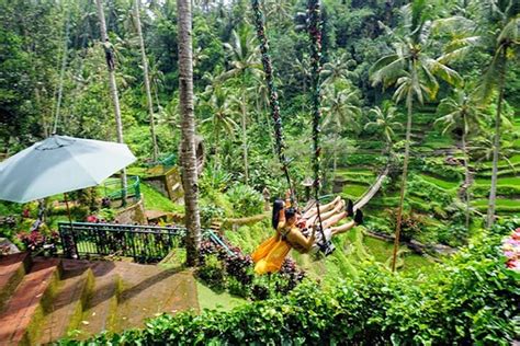 Amazing Private Tours Ayung River Rafting Swing Ubud Market And