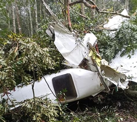 Quatro pessoas morrem em queda de avião em região de mata Alagoas 24