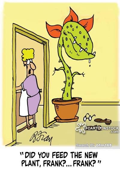 Free Plant Cartoon, Download Free Plant Cartoon png images, Free ...