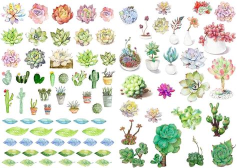 Amazon Seasonstorm Succulent Plants Kawaii Aesthetic Pastel Art