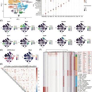 Erk Signalling And Surface Expression Of Gpcrs In The Presence Of