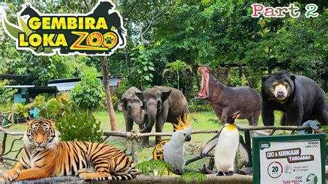 Gembira Loka Zoo 2021 Part 2 Youtube