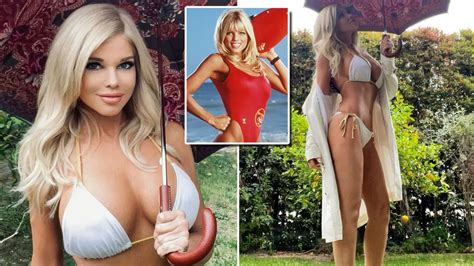 Baywatch S Donna D Errico Has Barely Aged A Day As She Poses In Bikini