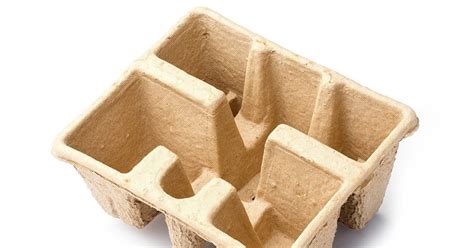 Molded Pulp Packaging Market Rising Tremendously With Better Market