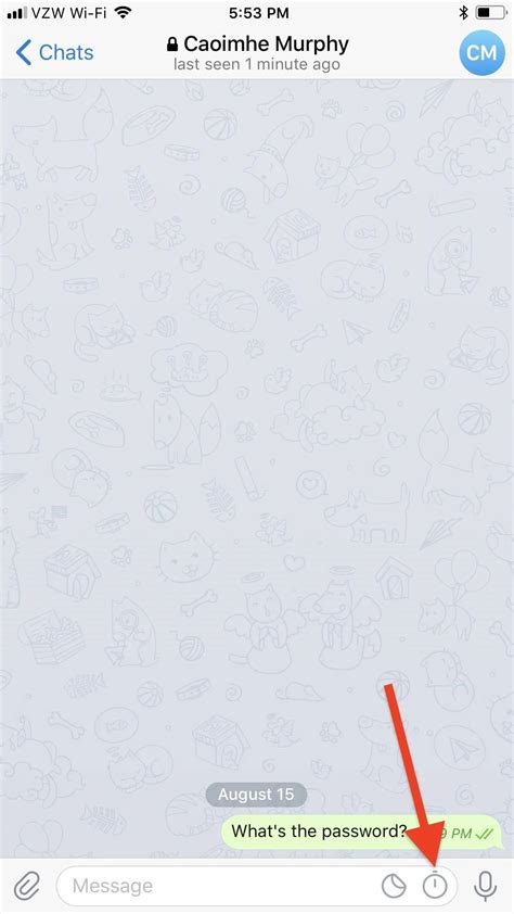 Telegram 101: How to Send Self-Destructing Messages in Chats