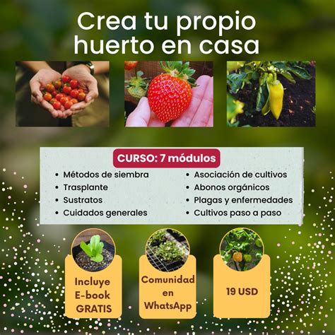 Crea Tu Propio Huerto En Casa ELENA RIVAS SANTACRUZ Hotmart