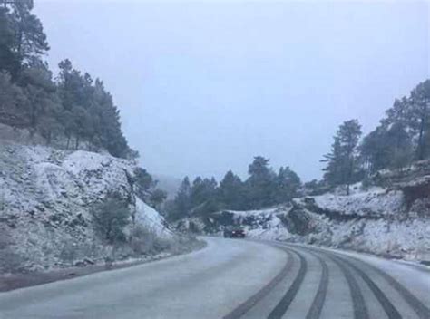 Caen Las Primeras Nevadas En Ocho Municipios De Chihuahua