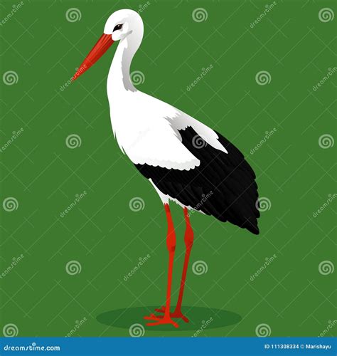 White Stork Cartoon Bird Stock Vector Illustration Of Feather 111308334