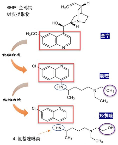 “新冠明星药”羟氯喹与氯喹究竟如何用澎湃号·湃客澎湃新闻 The Paper