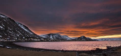 Westfjords 2-Day Winter Break | With Flights from Reykjavik