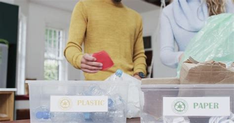 People Sorting Plastic And Paper Waste For Recycling From Pikwizard