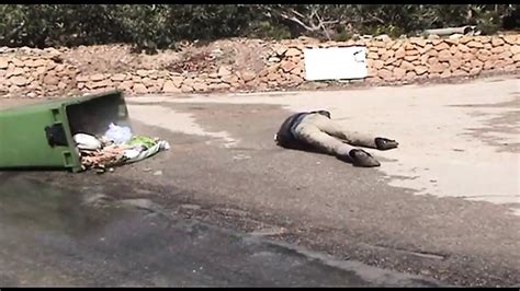 Extreme Activity Full Movie Free Hardcore HD Porn F XHamster