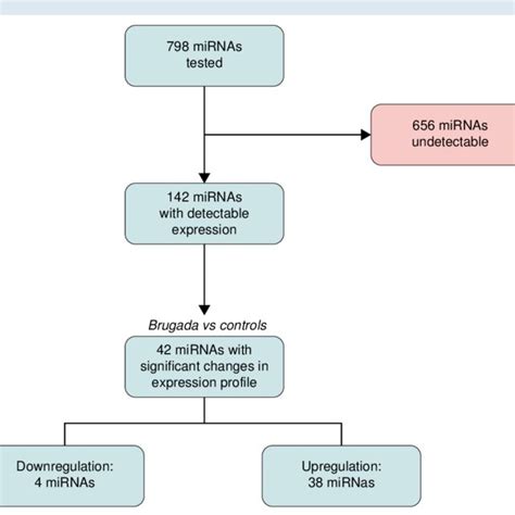 Study Flow Chart Mirna Microrna Download Scientific Diagram