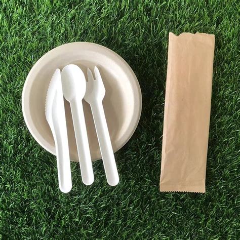 Watsonpak Biodegradable Envase Plato Cm Pulp Molding Sugarcane Fiber