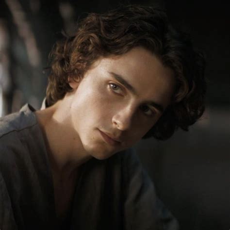 Dune Paul Atreides Timothee Chalamet Regulus Black