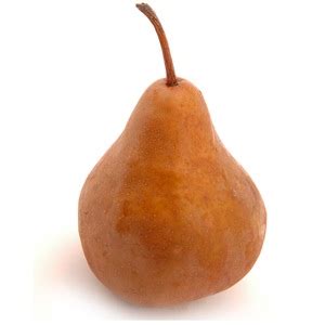 Bosc Pears – Deluxe Produce