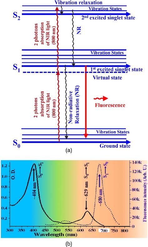 A Jablonski Diagram Of Energy Level That Was Pumped To S 1 And S 2