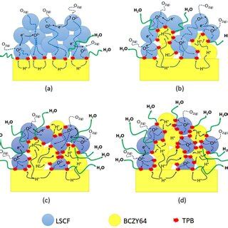schematic representation   cathode reaction mechanism proposed