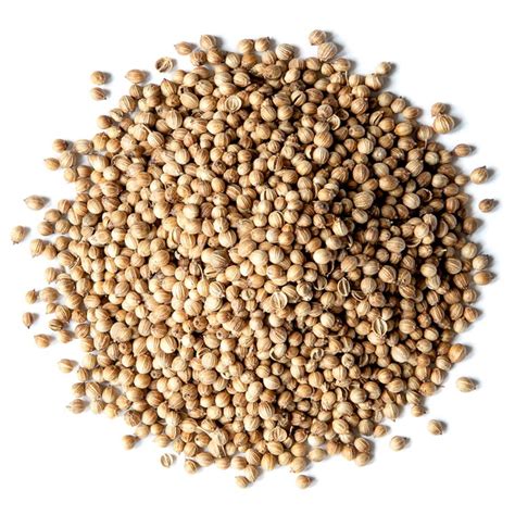 Coriander Seeds – Hasiria Marketing Bhd Sdn