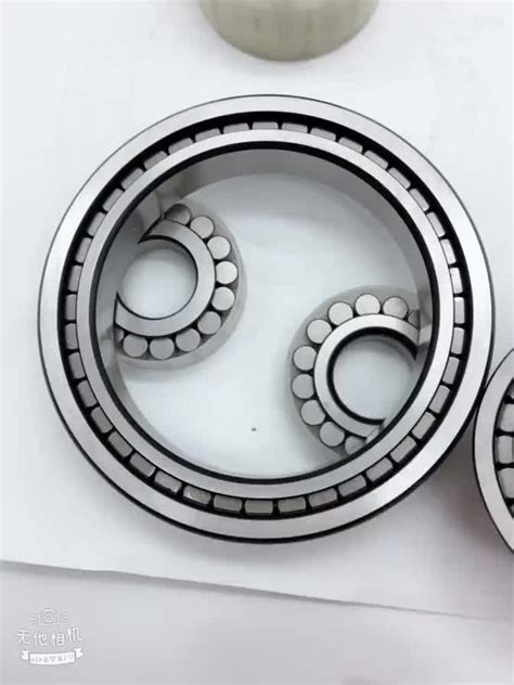 Rsl185010 Full Complement Cylindrical Roller Bearings Rsl 185010