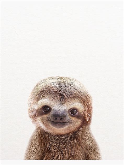 "Baby Sloth, Baby Animals Art Print by Synplus" Poster for Sale by ...