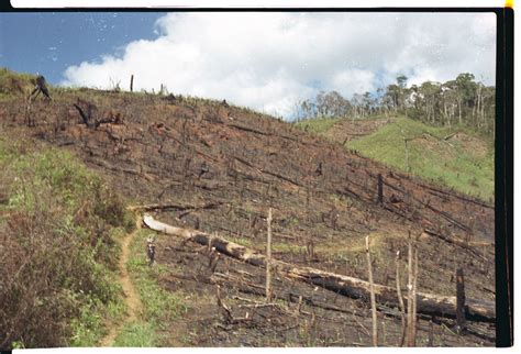 Deforestation Backcountry Madagascar Photo By Jonathan Ta Flickr