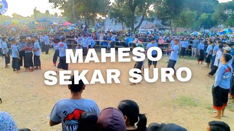 Maheso Sekar Suro Youtube