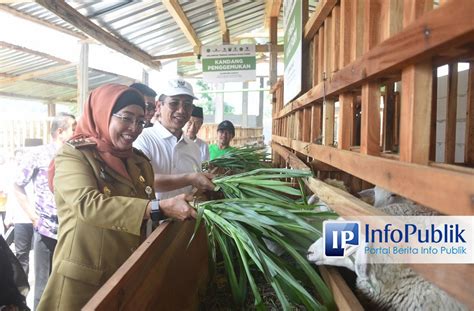 Infopublik Baznas Ri Luncurkan Balai Ternak Di Smk Peternakan Lembah