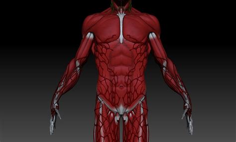 Human Anatomy 3D Model $20 - .ma - Free3D