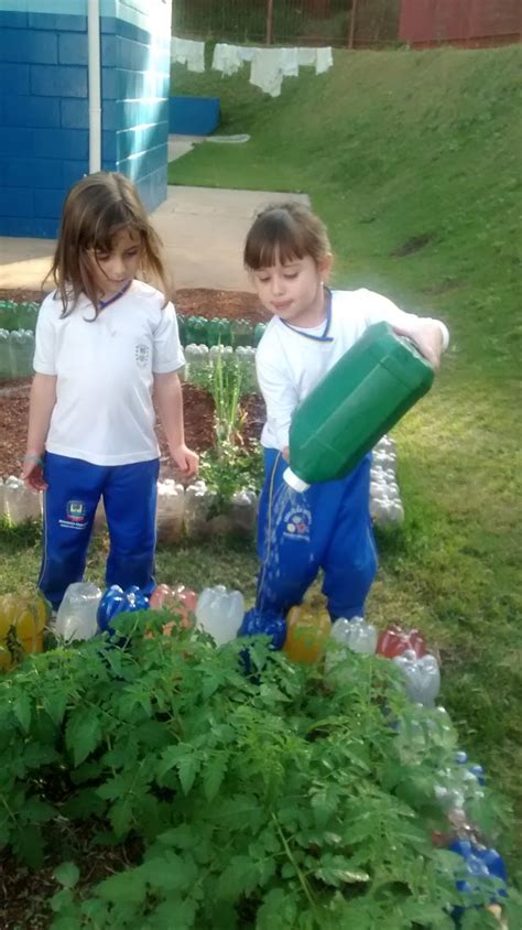 Escola Adalmir Lugar De Crian A Feliz Projeto Horta A Nossa Horta