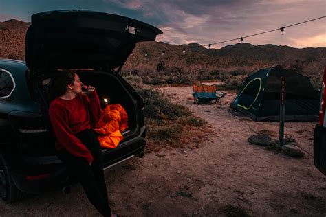 Everything You Need to Know About Camping in Anza Borrego