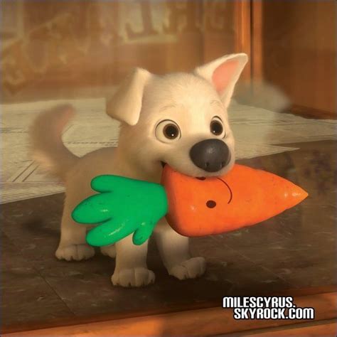 carrot dog toy from bolt - Refreshingly Webcast Gallery Of Photos