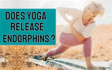 Does Yoga Release Endorphins Yoga Endorphins Power Yoga