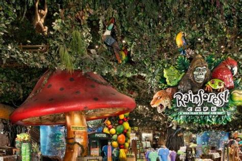 Rainforest Cafe Turns Off The Animatronics At Mgm Grand Eater Vegas