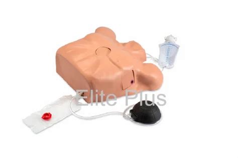 Lf Life Form Pericardiocentesis Simulator With Chest Tube And