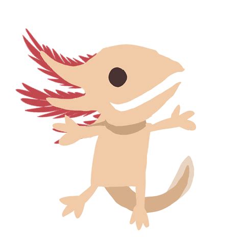 Axolotl PNG Images Transparent Background | PNG Play