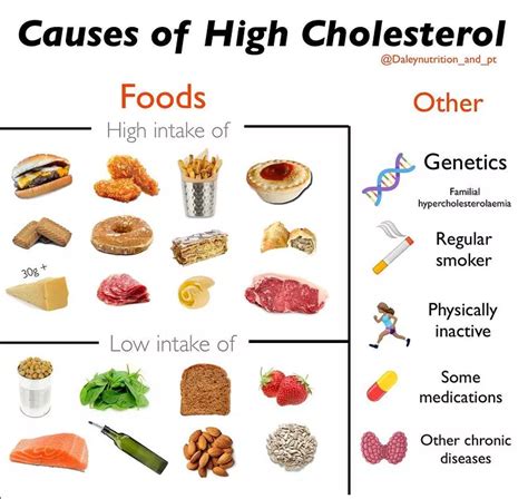 Everything you need to know about High Cholesterol | Sunshine TodayTT