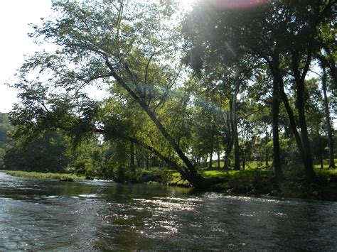 Kayaking Cypress Creek In Florence Al 7 3 11 Florence Alabama