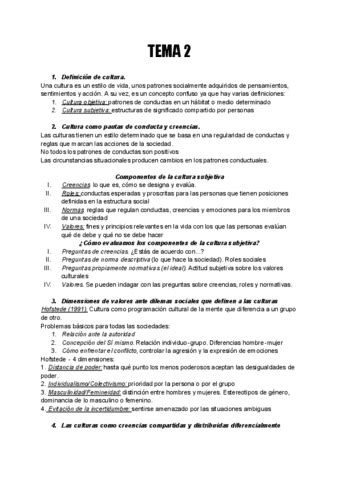 Psico Social Tema 2 Pdf