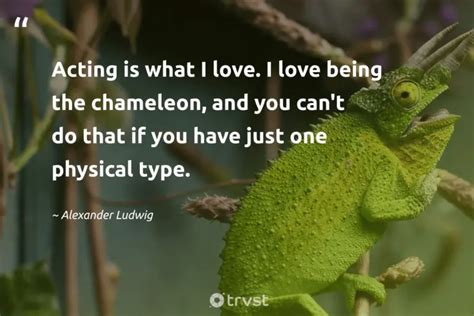 23 Chameleon Quotes Camouflaging Wisdom