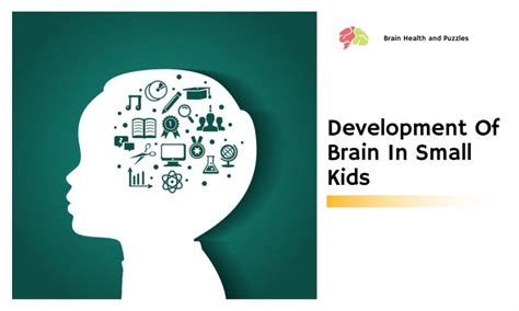 Development Of Brain In Small Kids | Brain Health and Puzzles